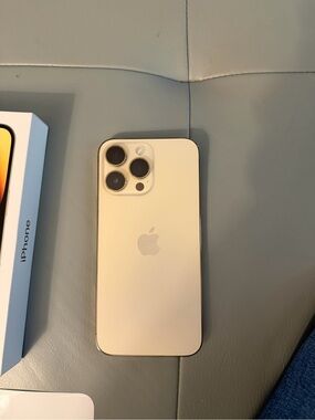 Apple iPhone 14 Pro Max in Gold and Silver Accents